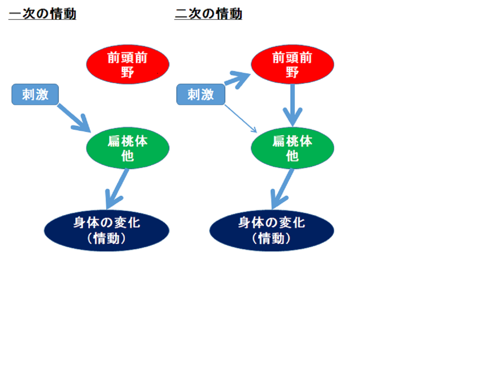 ダマシオの一次の情動と二次の情動 | エゾリス心理研究所